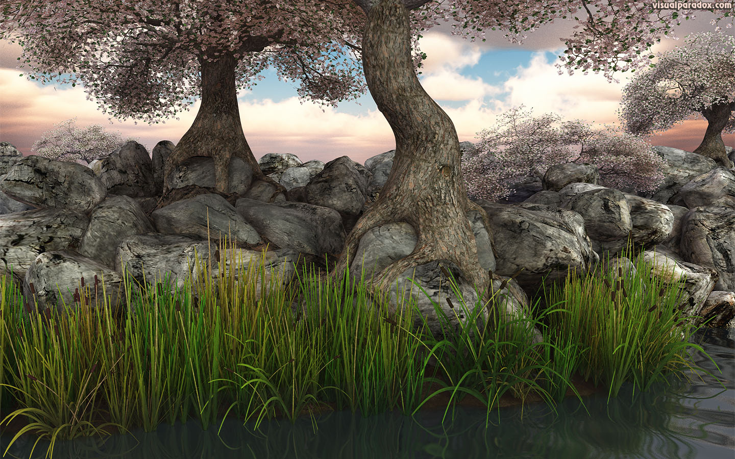 trees, blossoms, flowers, reeds, lake, pond, river, rocks, roots, knarled, tree, root, 3d, wallpaper, widescreen