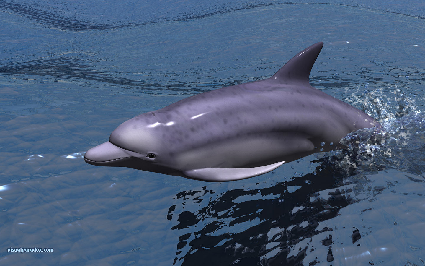fast, dolphin, porpoise, swimming, water, ocean, sea, speed, swim, dolphins, animal, animals, 3d, wallpaper, widescreen