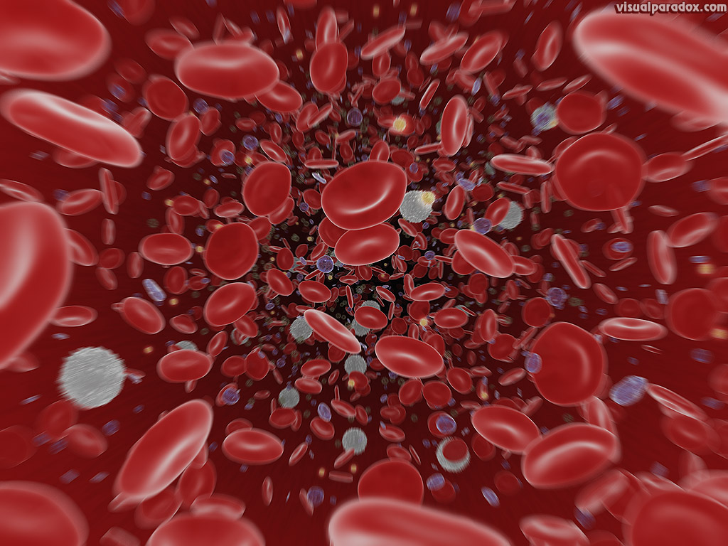 blood, cells, vein, artery, germ, bleed, white, red, platelet, flow, 3d, wallpaper