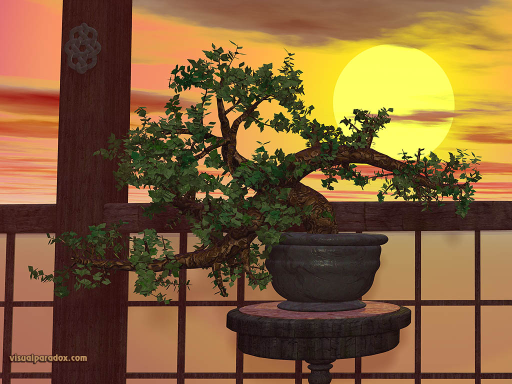 tree, sunset, japanese, trees, japan, bonzai, 3d, wallpaper