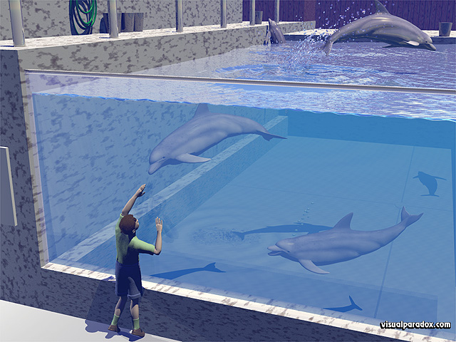 Free 3D Wallpaper 'Dolphin Park' 640x400