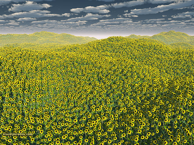 Free 3D Wallpaper 'Good Morning Sunshine' 640x400