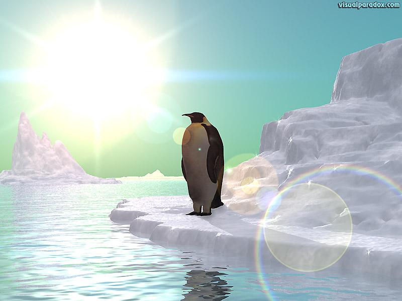 isolation, penguin, frozen, arctic, Antarctica, iceberg, Linux, emperor, sun, ice, flow, pack , 3d, wallpaper