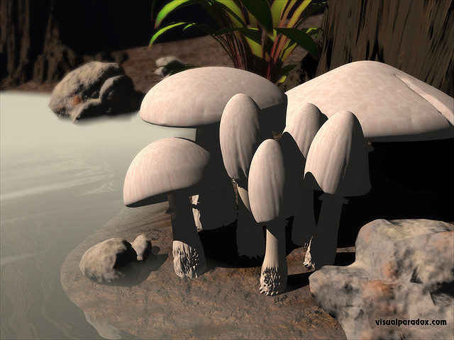 Free 3D Wallpaper 'Mushrooms' 640x400
