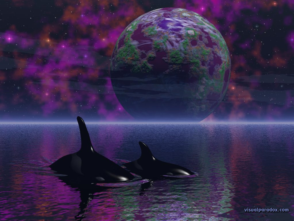 killer whales, planet, space, ocean, water, spiritual, stars, space, orca, whales, planets, 3d, wallpaper