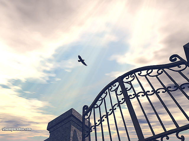 raven, crow, bird, gothic, sun, rays, iron, gate, fence, sky, clouds, fly, free, 3d, wallpaper