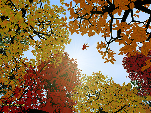 leaves, leaf, colors, fall, orange, red, yellow, sky, trees, forest, turning, change, drop, tree, free, 3d, wallpaper