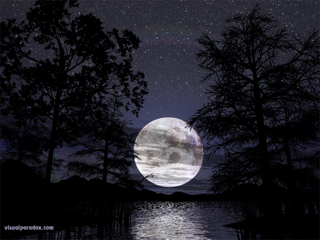 lunar, trees, lake, water, reeds, silhouette, stars, romantic, peaceful, tranquil, reflections, full, free, 3d, wallpaper