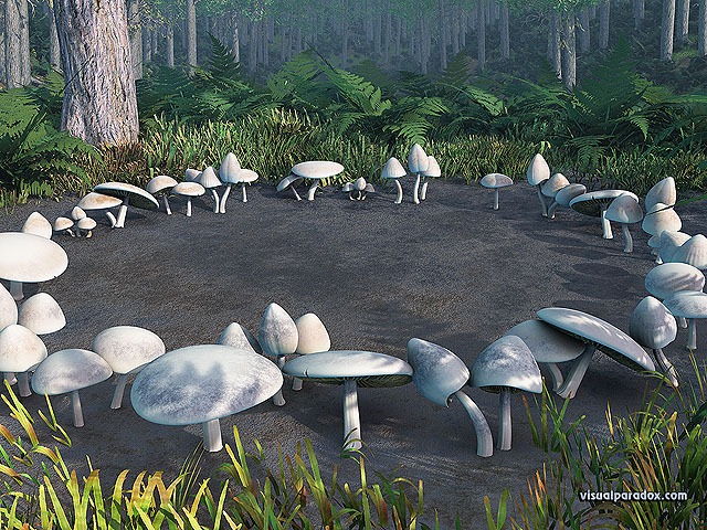 mushrooms, toadstools, circle, forest, woods, fungus, patch, glen, mushroom, toadstool, circles, free, 3d, wallpaper
