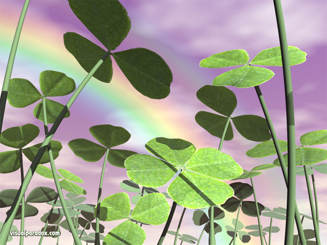 clover, four leaf, 4, st. patrick's day, saint, ground cover, clovers, free, 3d, wallpaper