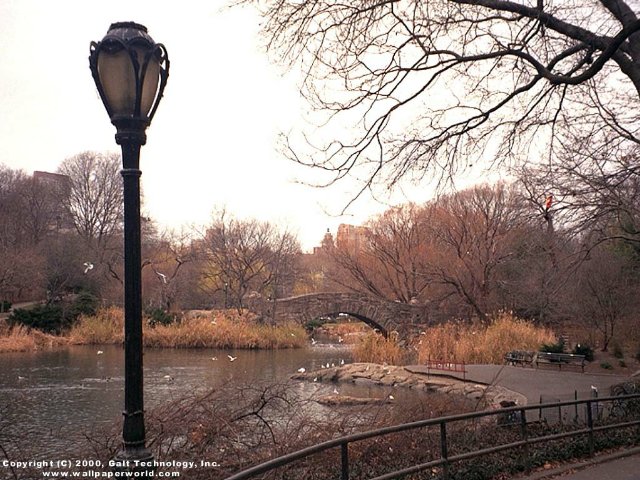 'New York Central Park' 640x480 Free 3D Wallpaper