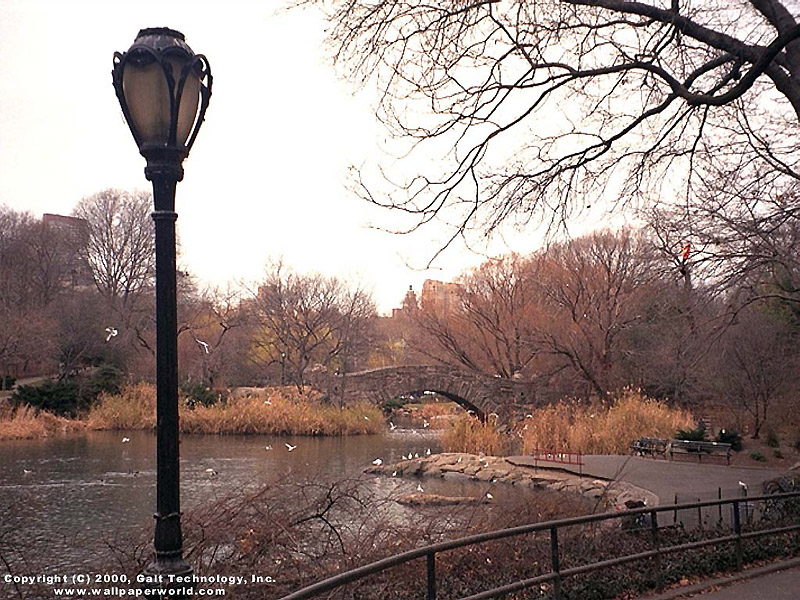 'New York Central Park' 800x600 Free 3D Wallpaper