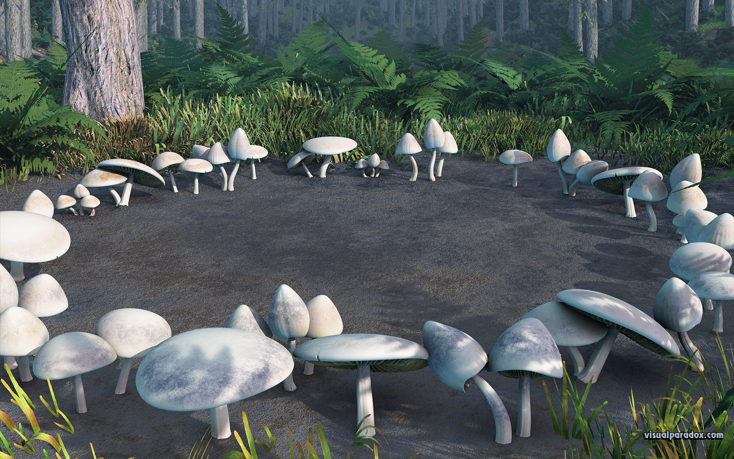 mushrooms, toadstools, circle, forest, woods, fungus, patch, glen, mushroom, toadstool, circles, 3d, wallpaper, widescreen