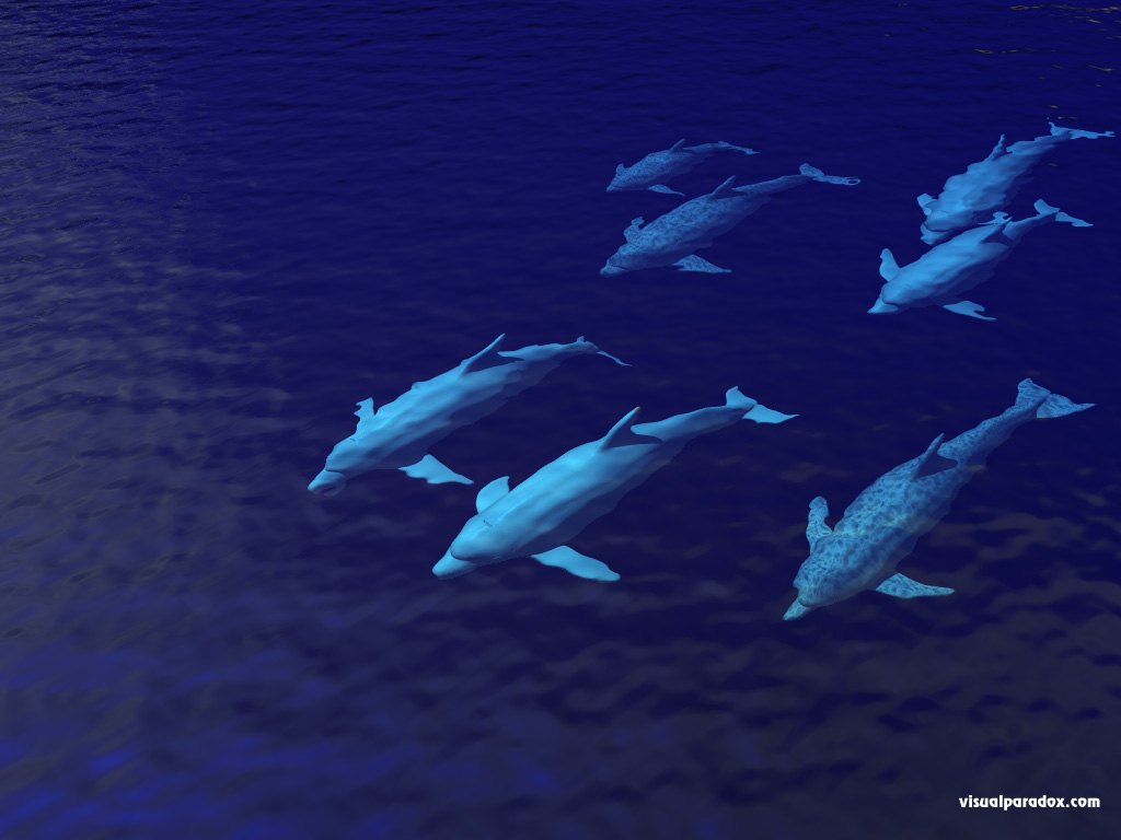 porpoises, swimming, underwater, ocean, sea, group, family, dolphins, animal, animals, 3d, wallpaper