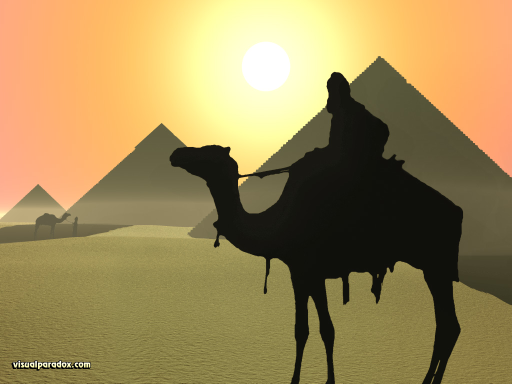 camels, buildings, Egypt, Gaza, desert, hot, dry, pyromid, pyramid, animal, animals, 3d, wallpaper