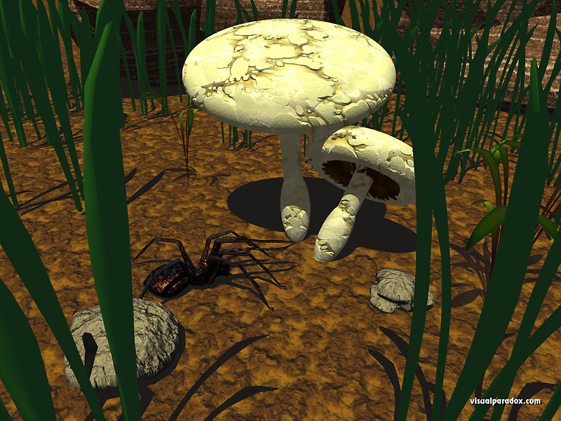 mushroom, grass, rocks, ground, hide, toadstools, spiders, insect, bug, bugs, 3d, wallpaper