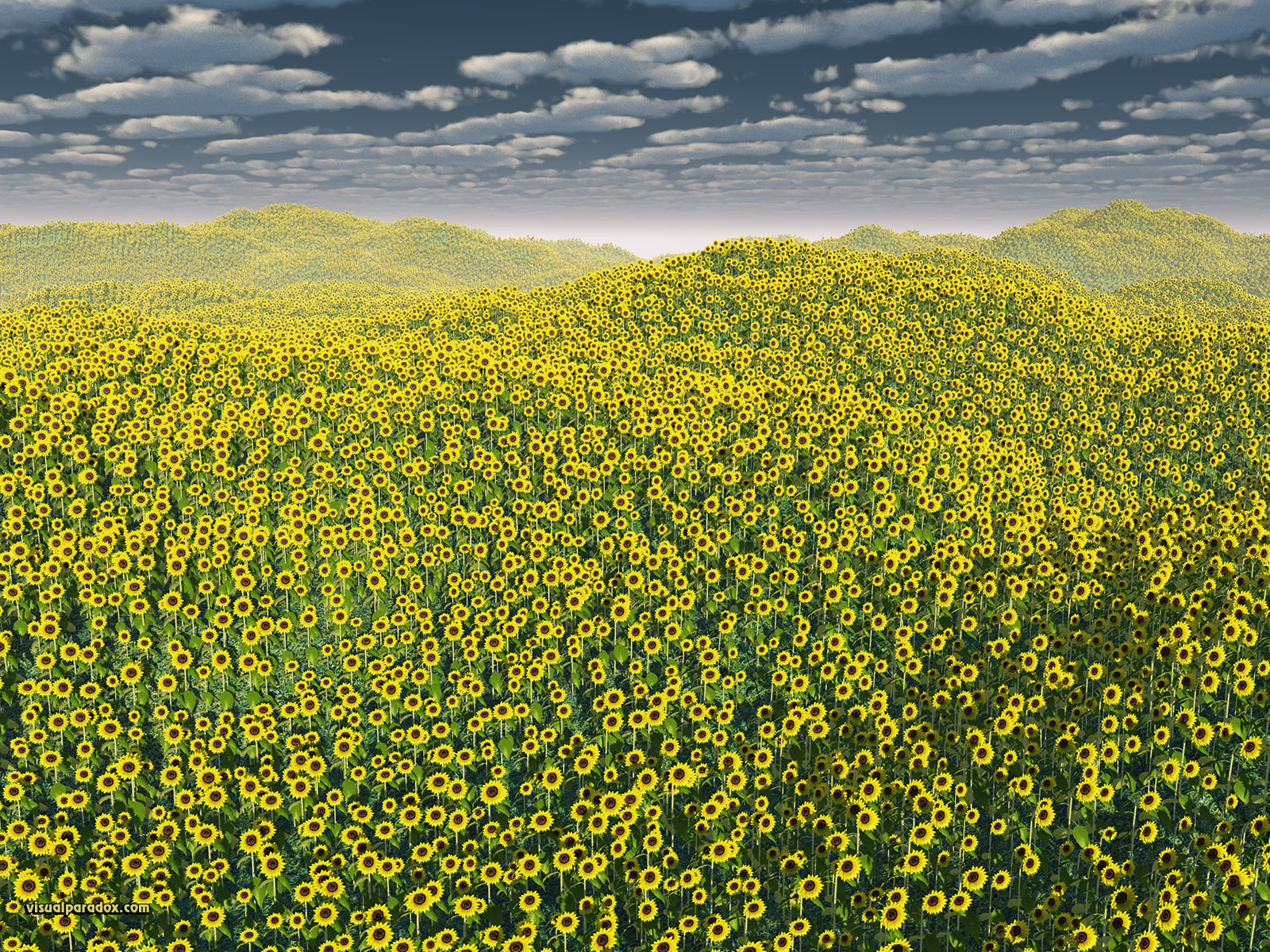 Free 3D Wallpaper 'Good Morning Sunshine' 1600x1200