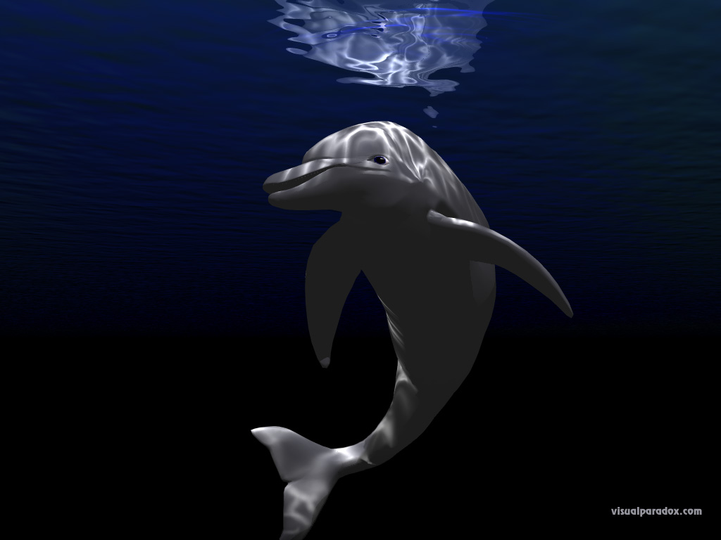 porpoise, underwater, blue, ocean, light, happy, joy, swim, dolphins, animal, animals, 3d, wallpaper