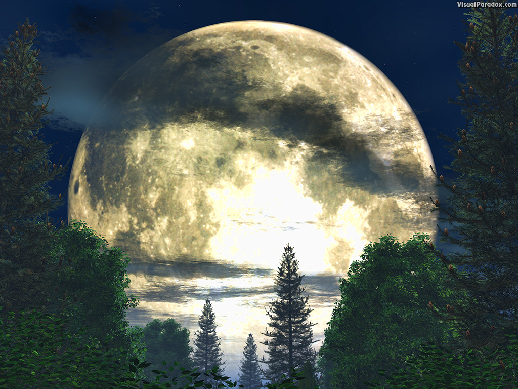 atmospheric, background, backlit, beautiful, beauty, blue, branch, bright, clouds, country, dark, dramatic, forest, fullmoon, glowing, illustration, landscape, light, luna, lunar, mist, moon, moonlight, moonlit, nature, night, outdoors, pine, round, scene, serenity, shadow, silent, sky, stars, tree, view, white, wood, woods, 3d, wallpaper