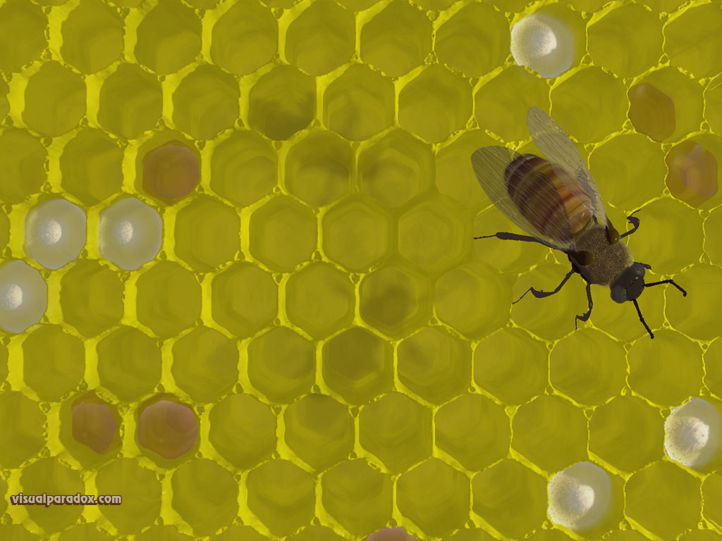 bee, hive, nest, sting, honey, wax, bees, 3d, wallpaper, free, 3d, wallpaper