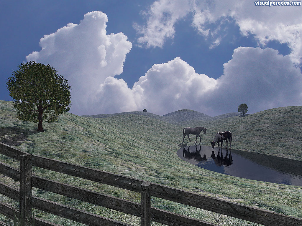 prairie, field, horses, water, hole, drink, fence, clouds, 3d, wallpaper