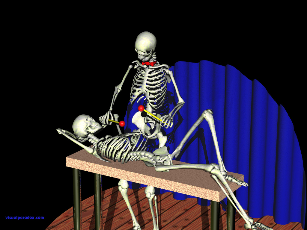skeletons, xylophone, performing, play, instrument, stage, skeleton, bones, bone, stage, 3d, wallpaper