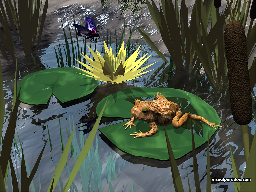 frog, toad, Lilly pad, butterfly, reeds, water, pond, lake, frogs, amphibian, animal, animals, 3d, wallpaper