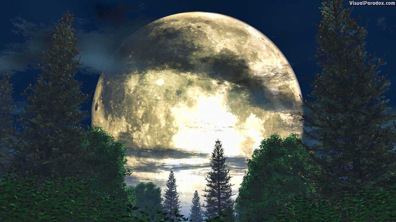 atmospheric, background, backlit, beautiful, beauty, blue, branch, bright, clouds, country, dark, dramatic, forest, fullmoon, glowing, illustration, landscape, light, luna, lunar, mist, moon, moonlight, moonlit, nature, night, outdoors, pine, round, scene, serenity, shadow, silent, sky, stars, tree, view, white, wood, woods, 3d, wallpaper