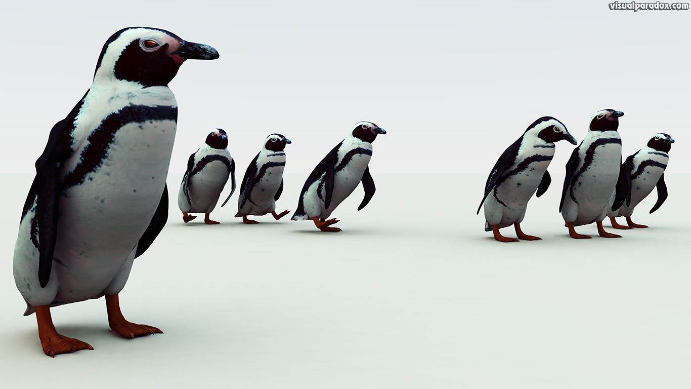 penguin. south, african, pengy, pole, cold, snow, emperor, flightless, birds, penguins, 3d, wallpaper