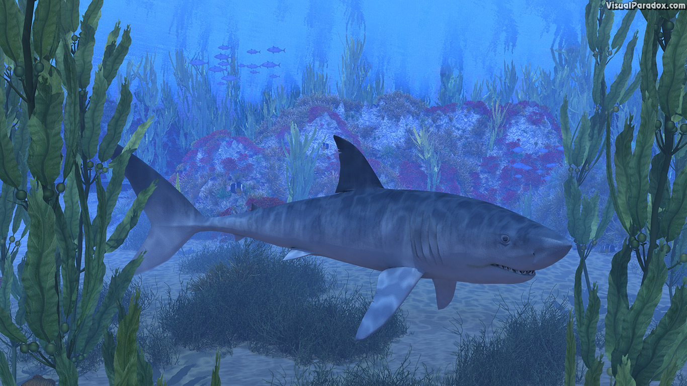 shark, white, blue, great, swim, jaws, kelp, sea, ocean, water, underwater, 3d, wallpaper