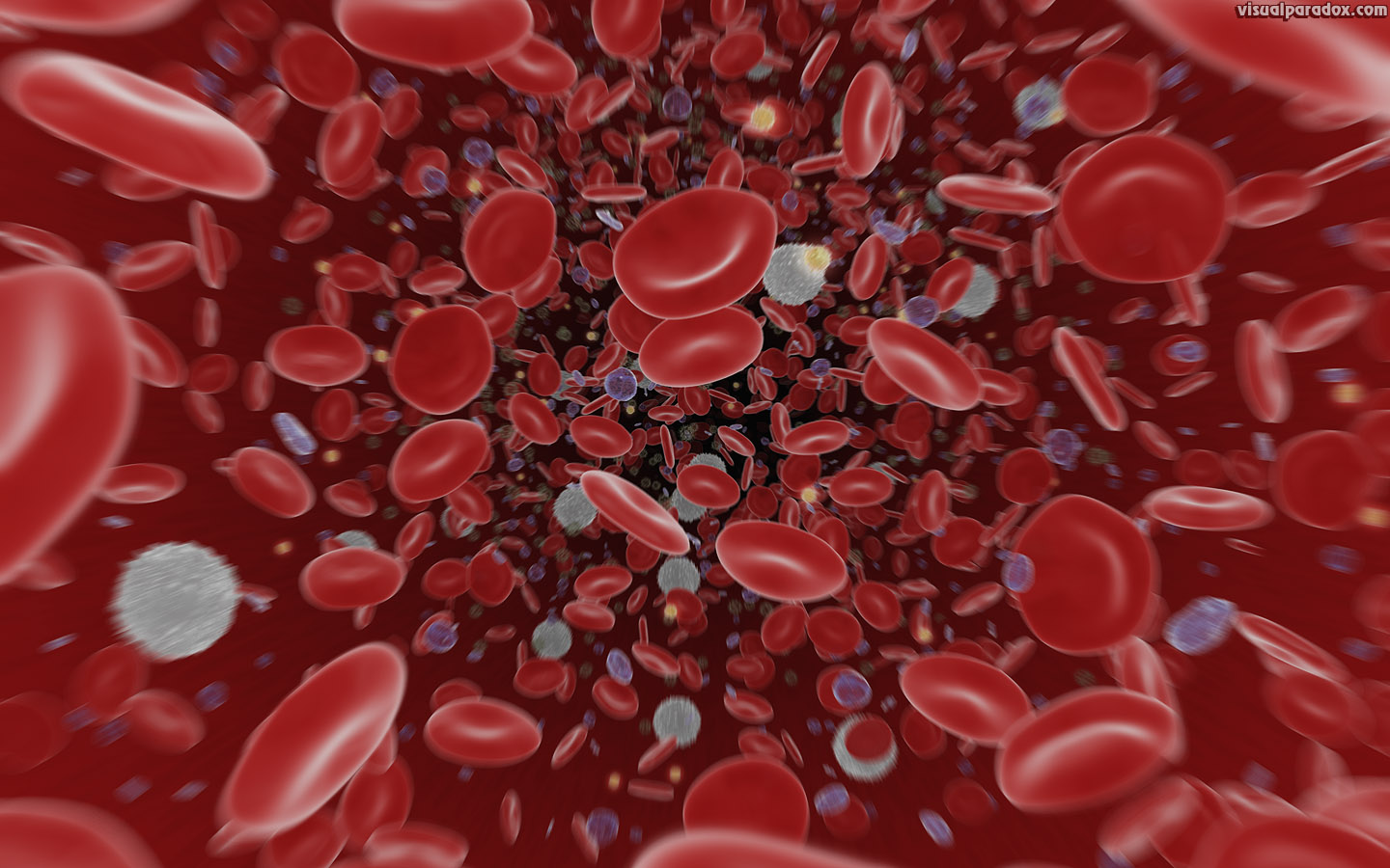 blood, cells, vein, artery, germ, bleed, white, red, platelet, flow, 3d, wallpaper