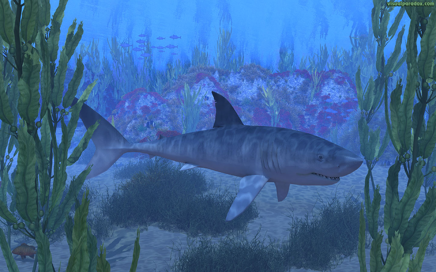 shark, white, blue, great, swim, jaws, kelp, sea, ocean, water, underwater, 3d, wallpaper