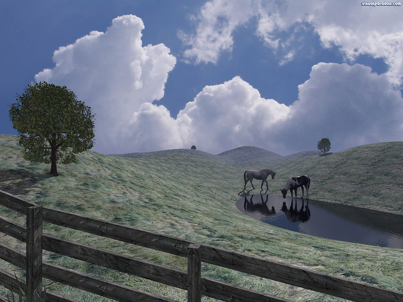prairie, field, horses, water, hole, drink, fence, clouds, 3d, wallpaper