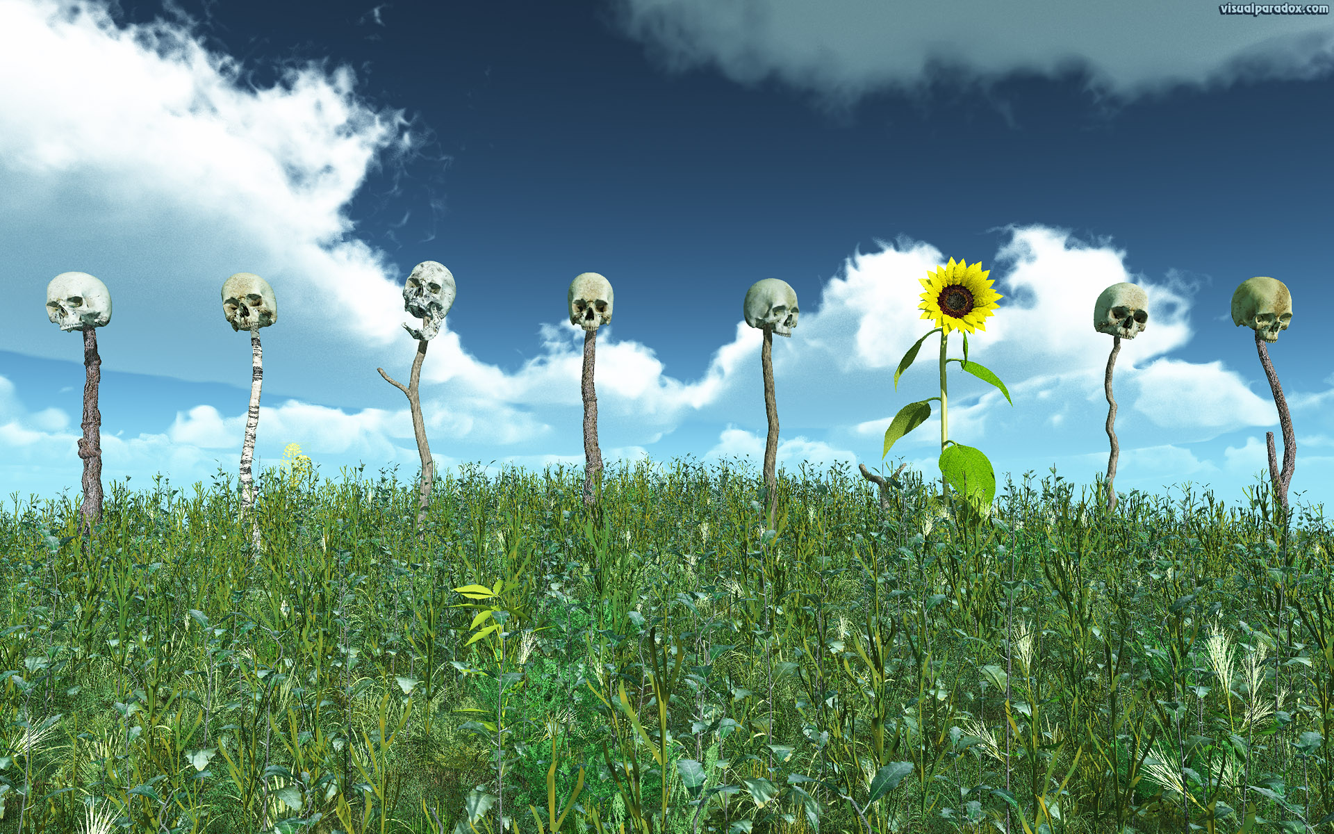 background, beauty, beware, bloom, blooming, blossom, blue, bone, bones, botanical, botany, bright, caution, circle, cloud, color, colorful, dark, eyes, face, fence, field, flora, floral, flower, fright, frightening, garden, gardening, grave, graveyard, green, heads, headstone, hill, leaf, marker, natural, nature, organic, petal, pike, plant, plants, poles, pretty, round, row, scary, skeleton, skulls, sky, spooky, summer, sun, sunflower, sunny, teeth, texture, warning, weeds, white, yellow, 3d, wallpaper