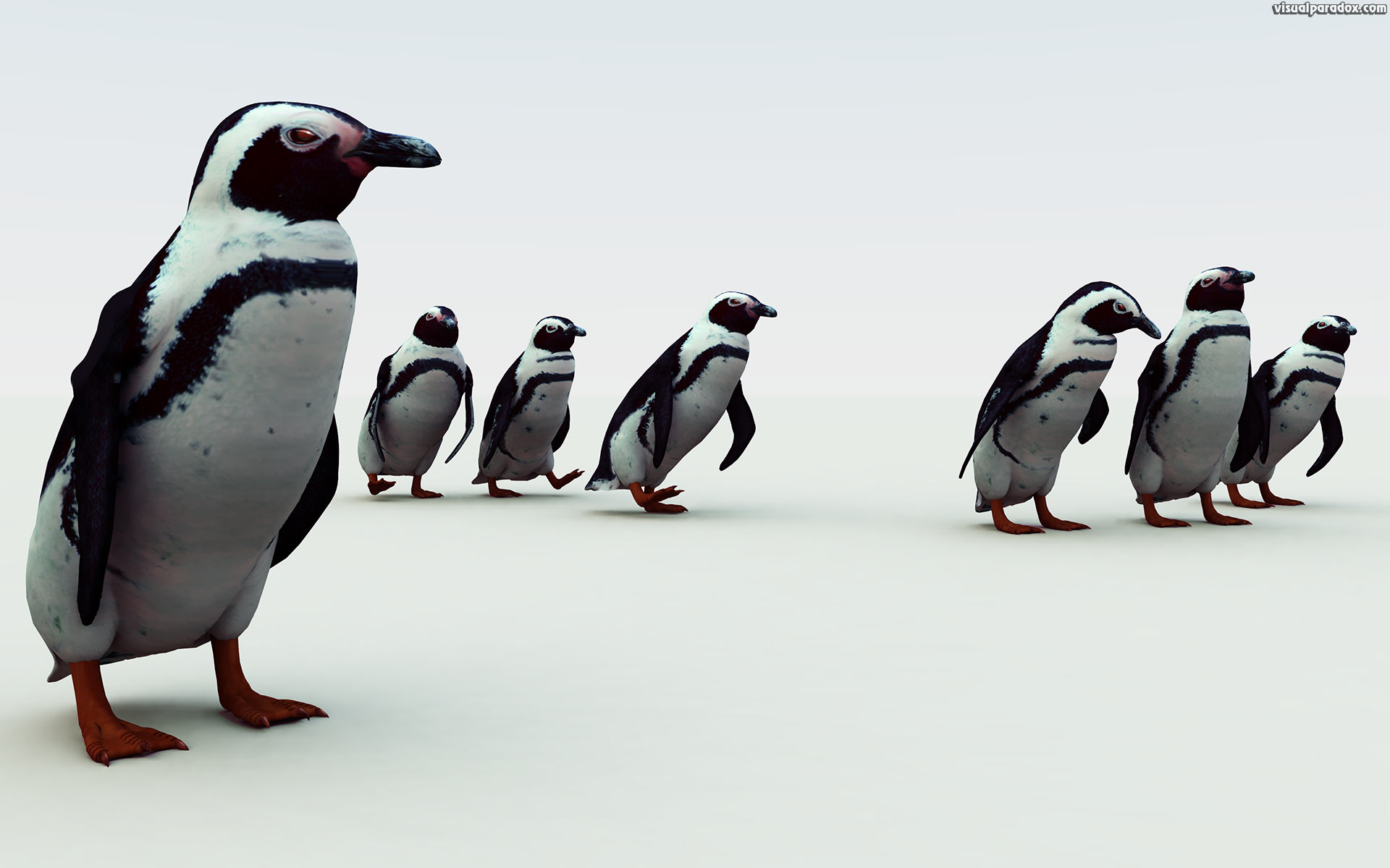 penguin. south, african, pengy, pole, cold, snow, emperor, flightless, birds, penguins, 3d, wallpaper