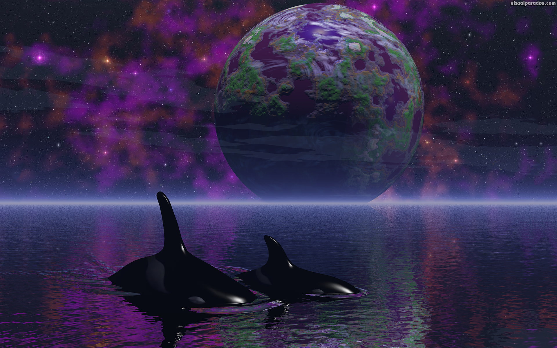 killer whales, planet, space, ocean, water, spiritual, stars, space, orca, whales, planets, 3d, wallpaper