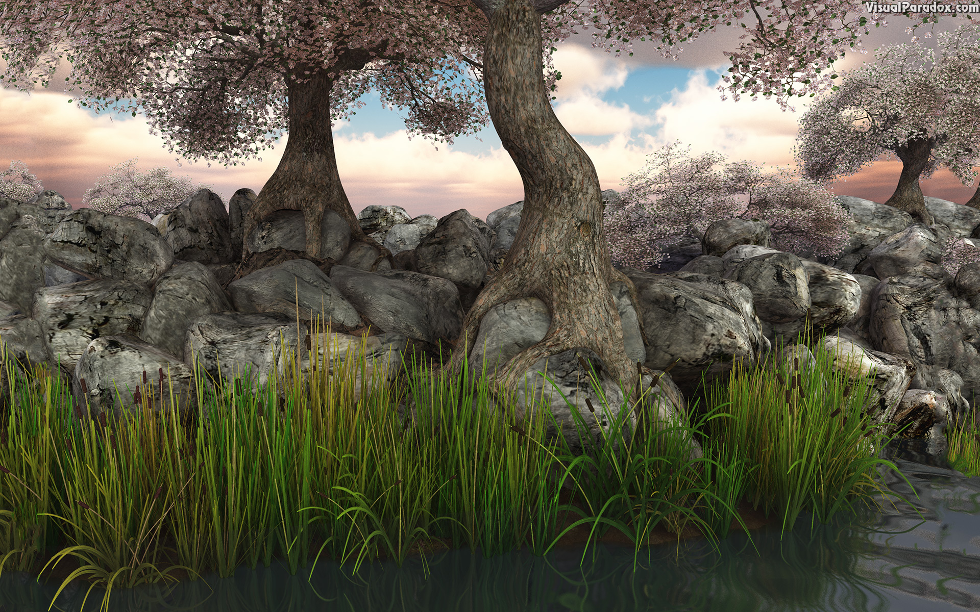 trees, blossoms, flowers, reeds, lake, pond, river, rocks, roots, knarled, tree, root, 3d, wallpaper