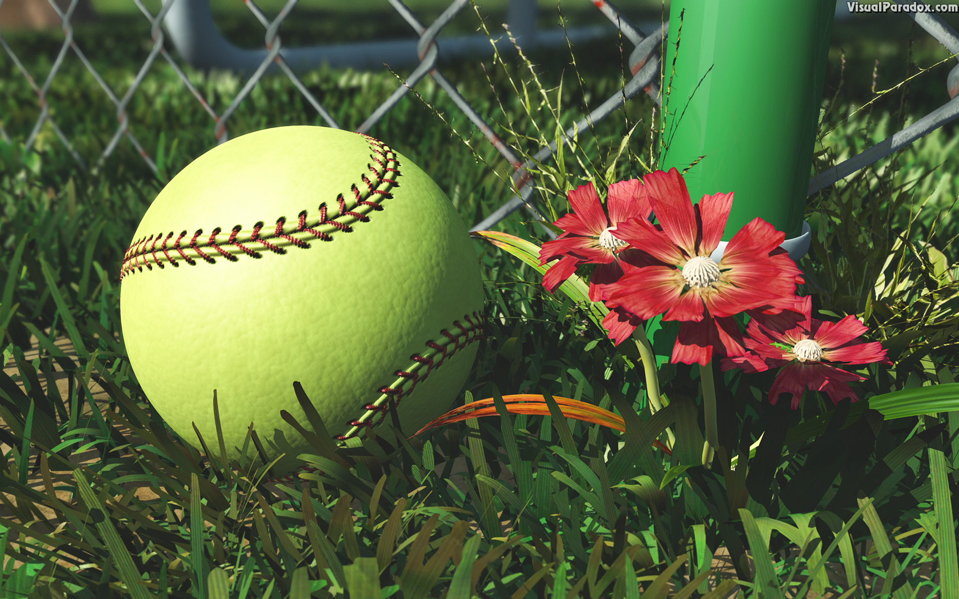 america, american, athletic, athletics, ball, ballpark, barrier, baseball, boundary, chain, closeup, color, detail, equipment, fence, field, flower, foul, game, gear, grass, green, infield, laces, lawn, league, leather, link, little, lost, metal, outdoor, outfield, pink, pitch, practice, recreation, red, season, single, soft, softball, sport, sports, spring, stitches, stitching, summer, team, weeds, wire, yellow, 3d, wallpaper
