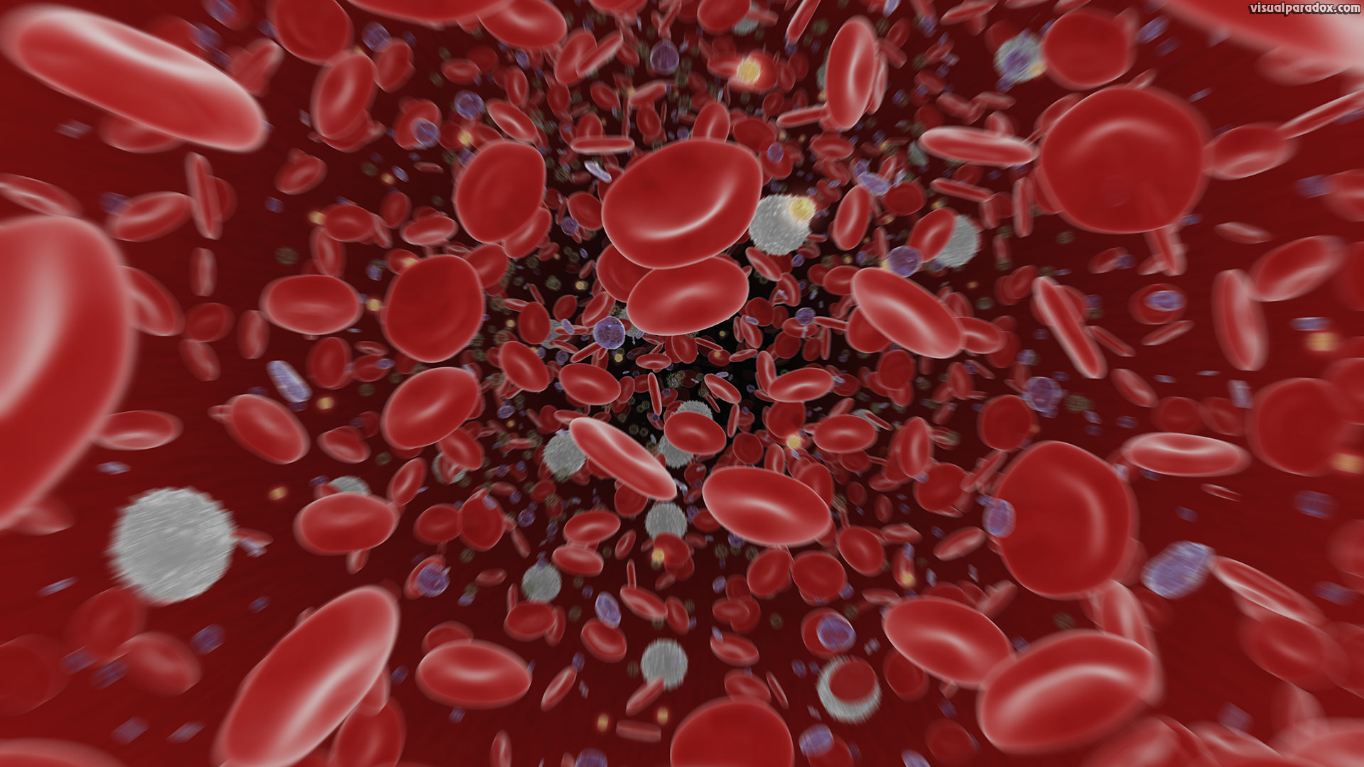 blood, cells, vein, artery, germ, bleed, white, red, platelet, flow, 3d, wallpaper