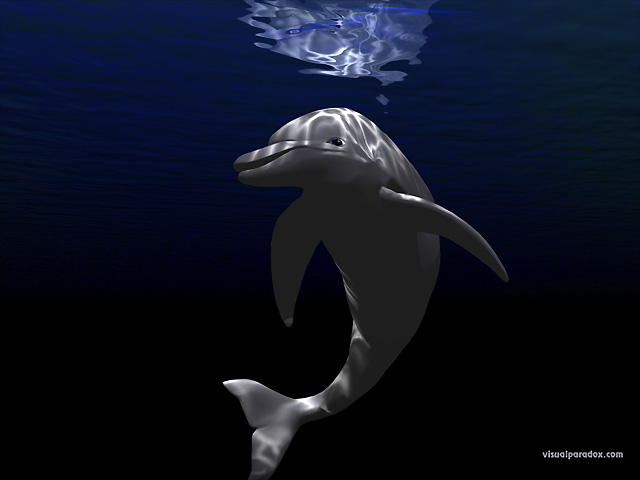 Visual Paradox Free 3D Wallpaper 'Dolphin' multiple wallpaper sizes