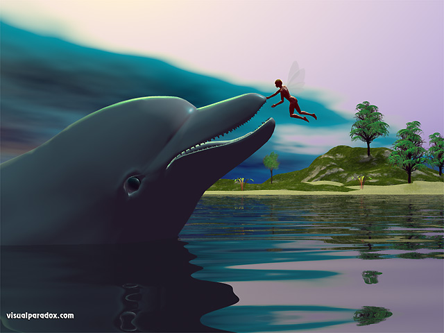 dolphin, fairy, pet, water, ocean greeting, hello, love, porpoise, dolphins, free, 3d, wallpaper