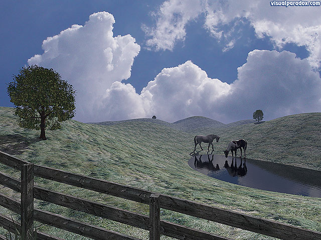 prairie, field, horses, water, hole, drink, fence, clouds, free, 3d, wallpaper