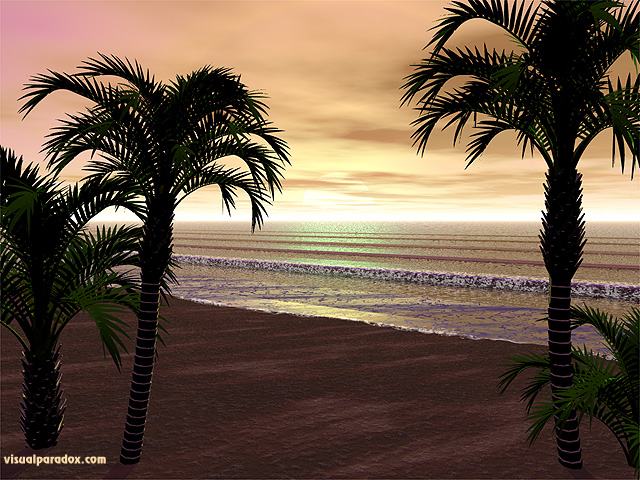 waves, beach, palm trees, breakers, sea, foam, sand, sunset, free, 3d, wallpaper
