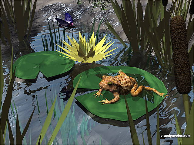 frog, toad, Lilly pad, butterfly, reeds, water, pond, lake, frogs, amphibian, animal, animals, free, 3d, wallpaper