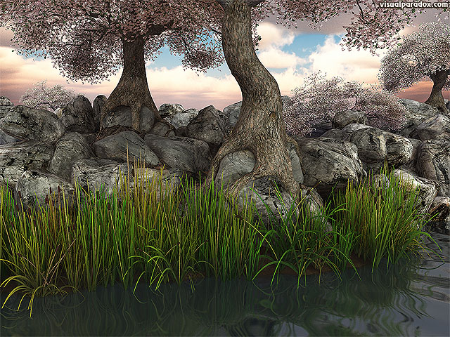 trees, blossoms, flowers, reeds, lake, pond, river, rocks, roots, knarled, tree, root, free, 3d, wallpaper