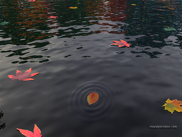 leaves, leaf, fall, colors, calm, water, ripples, meaning, autumn, nature, free, 3d, wallpaper