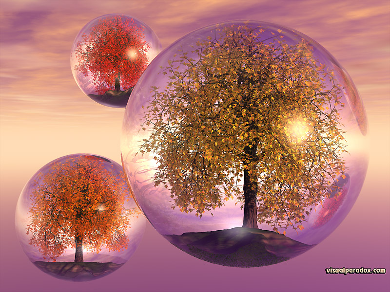 crystals, trees, autumn, fall, float, bubbles, balls, fly, terrarium, colorful, spheres, globes, crystal, sphere, balls, 3d, wallpaper