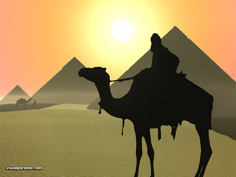 camels, buildings, Egypt, Gaza, desert, hot, dry, pyromid, pyramid, animal, animals, 3d, wallpaper