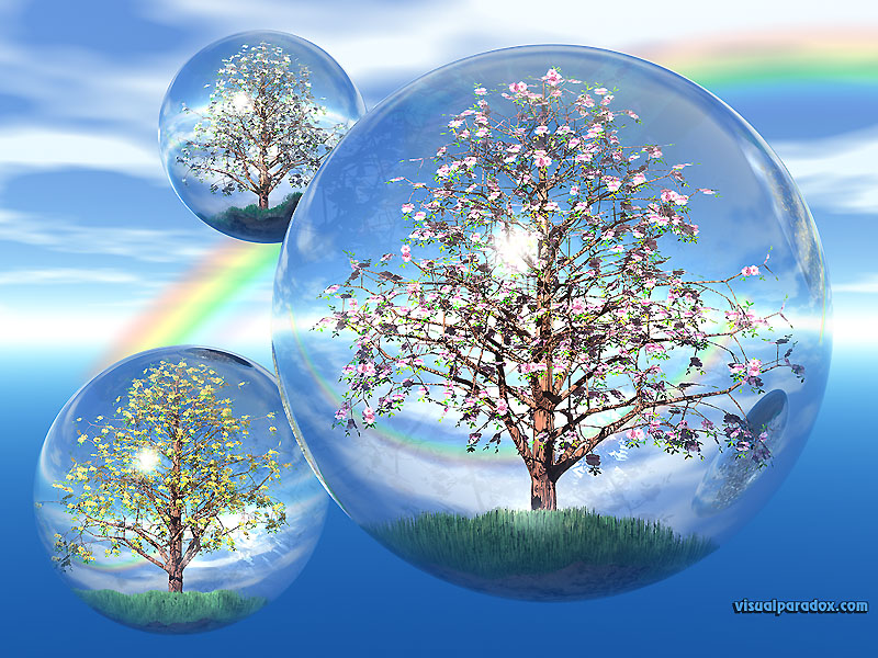 crystals, trees, sky, globes, float, bubbles, balls, fly, terrarium, flowers, blossoms, crystal, globe, blossom, flower, bud, 3d, wallpaper