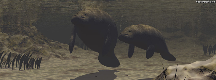 facebook, coverphoto, cover, manatees, sea cows, underwater, mother, baby, tranquil, manatee, animal, animals, water, 3d